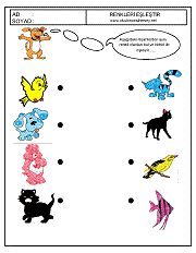 okul öncesi renk kavramı renkleri eşleştir çalışma sayfaları